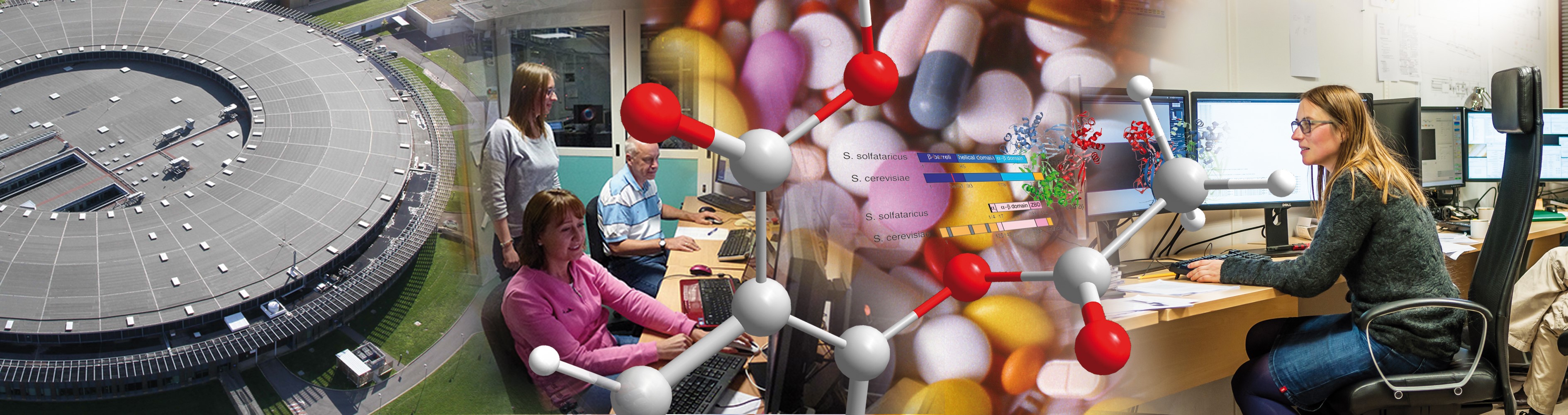 Pharmacy header Pharmacy header