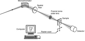 MICROSCOPIE STXM