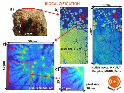 Combinaison de techniques