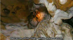 video- moon milk - lait de lune